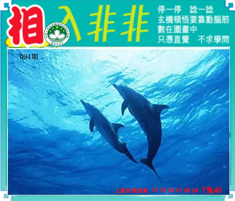 094期相入非非[图]